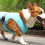 Hundekühlweste, Größe S, Hellblau, Polyester 5