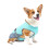 Hundekühlweste, Größe S, Hellblau, Polyester 11