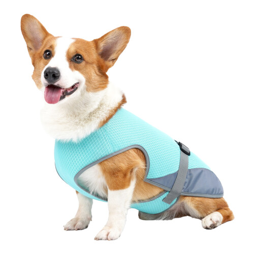 hellblaue Hundekühlweste Größe M Polyester atmungsaktiv 1