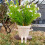 Swing Face Pflanztopf 13,5  10  11 cm 285 g 4