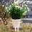 Swing Face Pflanztopf 13,5  10  11 cm 285 g 6