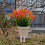 Swing Face Pflanztopf 13,5  10  11 cm 285 g 14