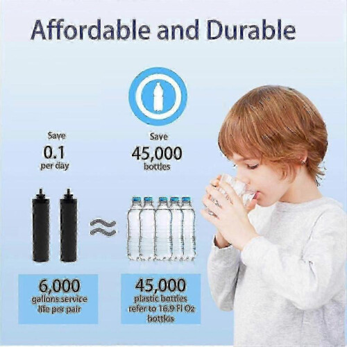 4Pack BERKEY BB9-2 Replacement Filters, Activated Carbon for Gravity-Fed Water System 2