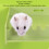 Hamster-Plattformleiter-Set L-Typ, Großer Raum 16