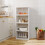Living And Home (4 High) Foldable Plastic Double Door Shoe Rack Storage Organizer 4