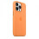 (Marigold) Silicone Case With Magsafe For Iphone 13 Pro Phone Case 2