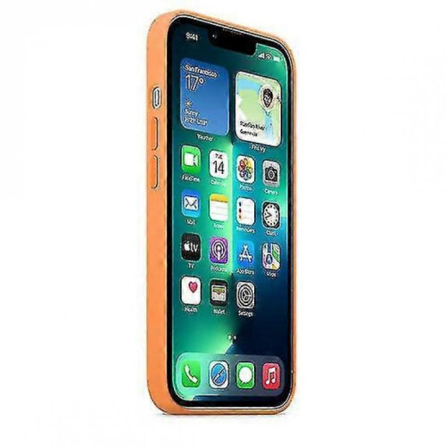 (Marigold) Silicone Case With Magsafe For Iphone 13 Pro Phone Case 2