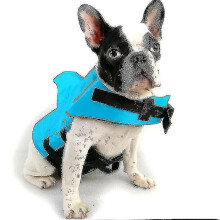 (As show, One size) Shark Dog Safety Life Jacket