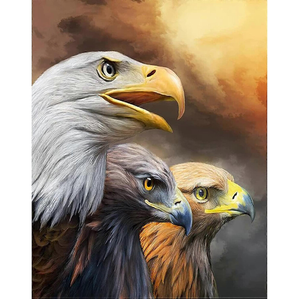(As show, One size) 5D Diamond Painting Kits for Adults Eagles Diamond Arts Kits Adults Eagles Full Diamond Painting Eagles Kits, 5D Diamond Arts Eagl