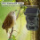 Mini700 Trail Camera IR Night Vision Waterproof AA 8