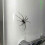 Spider Fridge Magnet, Realistic Spider Magnets, Cute Spiders Design A 4