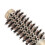 Round Brush for Blow Drying Fast Dry Precise Styling Prevent Static Ionic Round Barrel Brush 1inch 9