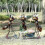 (1) Ant Display Mold Decorative Interesting Exquisite Wrought Iron Ant Garden Statue for Balcony 2