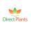 Apple Red Devil Large Fruit Tree 6ft Tall Supplied in a Pot by Directplants 7