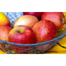 Apple James Grieve Large Fruit Tree 6ft Supplied in Pot By Direct Plants