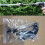(C) Waterblitz Pressure Washer,Qinux Waterblitz Pressure Cleaner 3