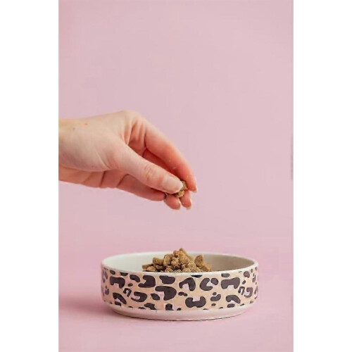 (One Size, Durability) Mason Cash Grey Polka Dot Pet Bowl, 13 cm 1