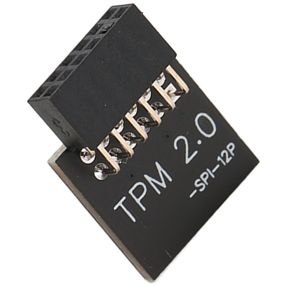 Tpm2.0 Encryption Security Module For Gigabyte Mainboard Spi 12Pin Security Module For Win 11 2.0 9491315328995