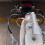 Trailer Safety Towing Cable with Two S Hook 3500lbs Load Bearing 3