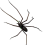 Spider Fridge Magnet, Realistic Spider Magnets, Cute Spiders Design A 1