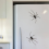 Spider Fridge Magnet, Realistic Spider Magnets, Cute Spiders Design A 5