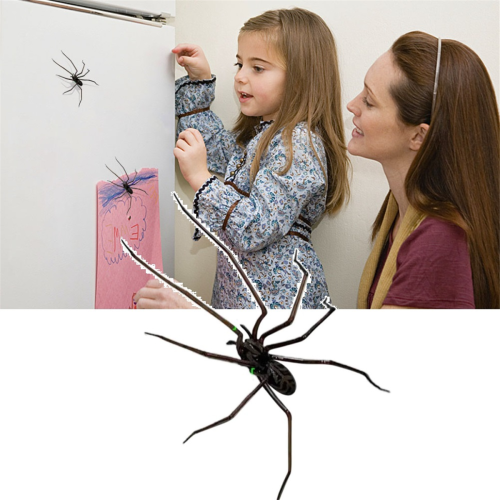 Spider Fridge Magnet, Realistic Spider Magnets, Cute Spiders Design A 2