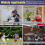 Εξοπλισμός εξάσκησης Pickleball για εξάσκηση σε πόρτες 7