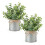 Mini Faux Eucalyptus Potted Artificial Plants 1