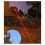 Luminous Wind Rope LED Camping with Light Wind Rope 4