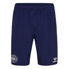 (L) 2024-2025 Denmark Training Shorts (Marine)