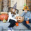 Halloween Hat Party Dance Witch Net Decorative Props Pointy Corner Wizard Witch Hat 13