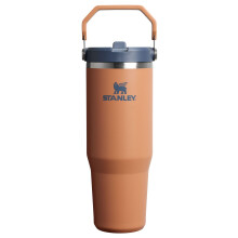 Stanley IceFlow 2.0 Flip Straw Tumbler mit Henkel, 30 oz | Drehdeckel und hochklappbarer Strohhalm | Auslaufsichere Wasserflasche | Isolierter Edelsta