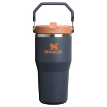 Stanley IceFlow 2.0 Flip Straw Tumbler mit Griff 20 oz | Deckel aufdrehen und Strohhalm hochklappen | Auslaufsichere Wasserflasche | Isolierter Edels