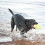 KONG Squeaker Football Large 4