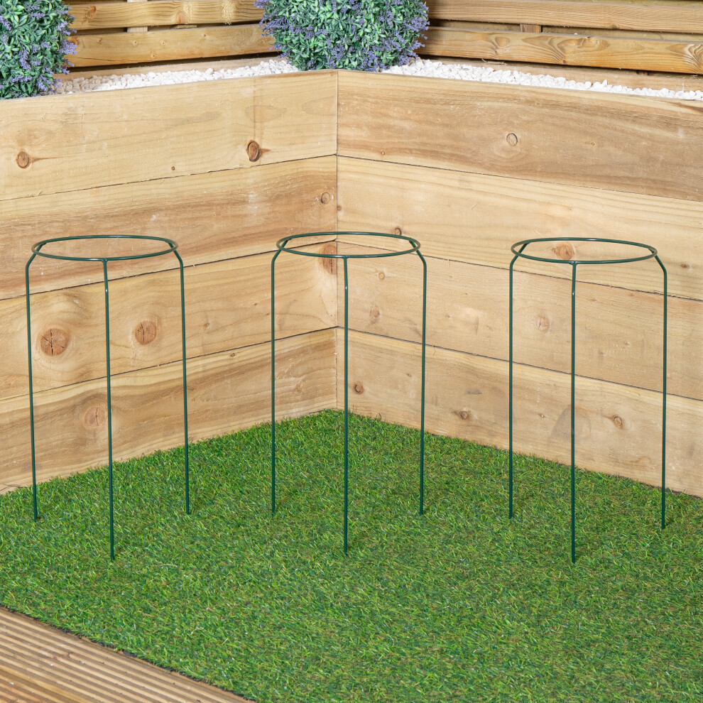Samuel Alexander Pack Of 3 Tom Chambers Green Metal Herbaceous Garden Plant Support Rings Small