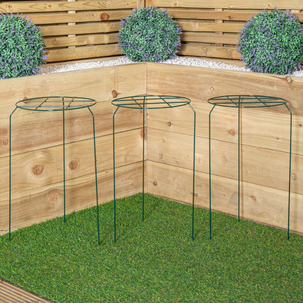 Samuel Alexander Pack Of 3 Tom Chambers Urban Dark Green Metal Herbaceous Garden Plant Support Grow Through Medium 50Cm X 30Cm