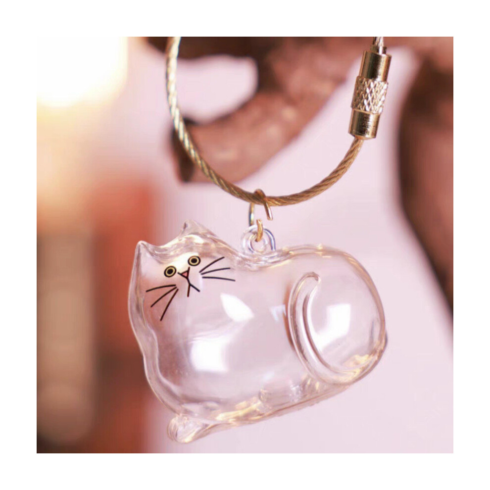 (Style A)Boîte de Rangement Cheveux de Chat Transparente Pendentif Rangement Cheveux Capsule Jouets Porte-clés