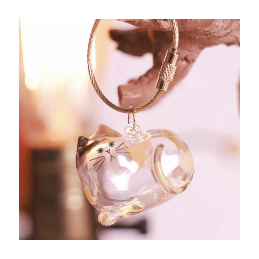 (Style C)Boîte de Rangement Cheveux de Chat Transparente Pendentif Rangement Cheveux Capsule Jouets Porte-clés