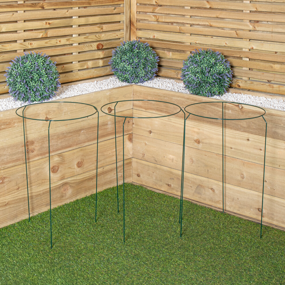 Samuel Alexander Pack Of 3 Tom Chambers Urban Metal Herbaceous Garden Plant Support Ring Large 40Cm X 60Cm