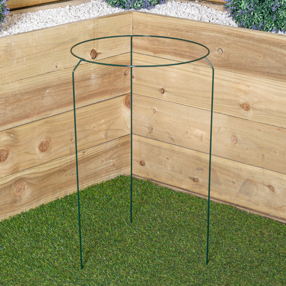 Samuel Alexander Tom Chambers Urban Metal Herbaceous Garden Plant Support Ring Large 40Cm X 60Cm