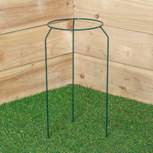 Samuel Alexander Tom Chambers Green Metal Herbaceous Garden Plant Support Ring Small