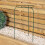Samuel Alexander Tom Chambers Green Metal Herbaceous Garden Plant Support Ring Small 4