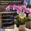 Soil N,P,K Temperature Sensor Nitrogen Phosphorus Potassium Detector Nutrient Fertility Meter Tester Garden Farm 1