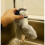 Electronic Interactive Flying Bird Cat Toy Hanging Pet Flapping Wings Sparrow 4