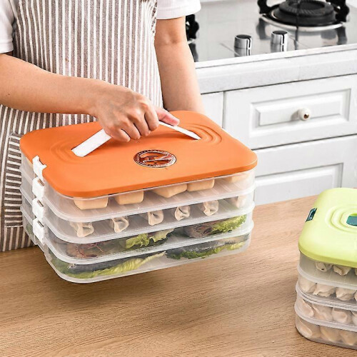 Large Capacity dumpling box portable storage box with timing multi-layer combination storage box kitchen refrigerator wonton box 1