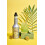 MONIN Kiwi Fruit Mix Puree 1L. Vegan. 6