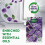 Zoflora Zoflora Midnight Blooms Rim Blocks 2 x 48g Pack Continuous Freshness 2
