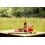Belvoir Farm Raspberry & Lemon Cordial, 6 x 500ml 3