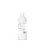True Chem - Hydrogen Peroxide 3% Solution, 10 Vols, 500ml 3