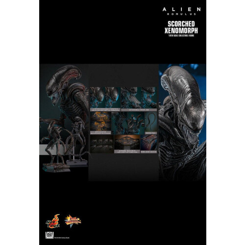 Hot Toys Figur Hot Toys MMS784 - Alien : Romulus - Scorched Xenomorph 1